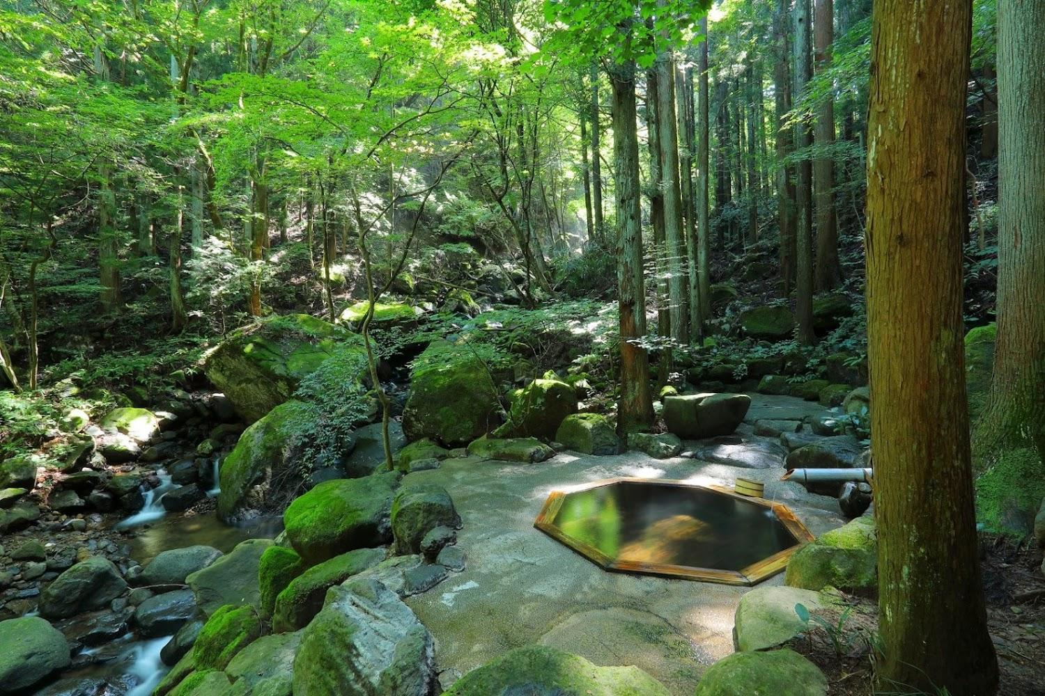 Cover Image for Tsuchiyu Bettei Satonoyu