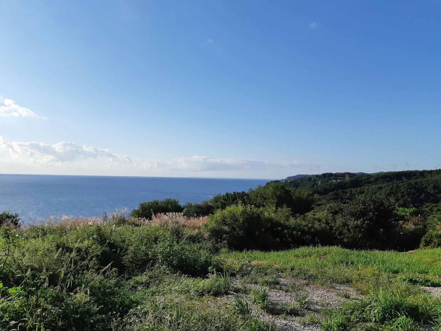 Cover Image for 풍차마을펜션