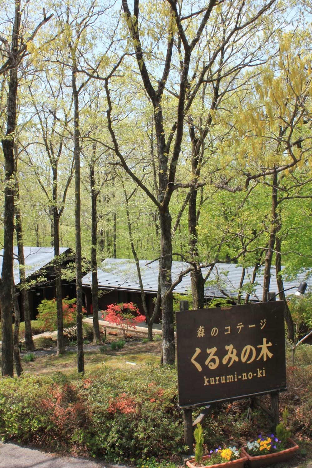Cover Image for くるみの木