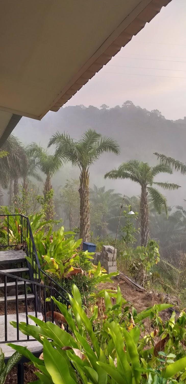 Cover Image for Khao Sok Horizon