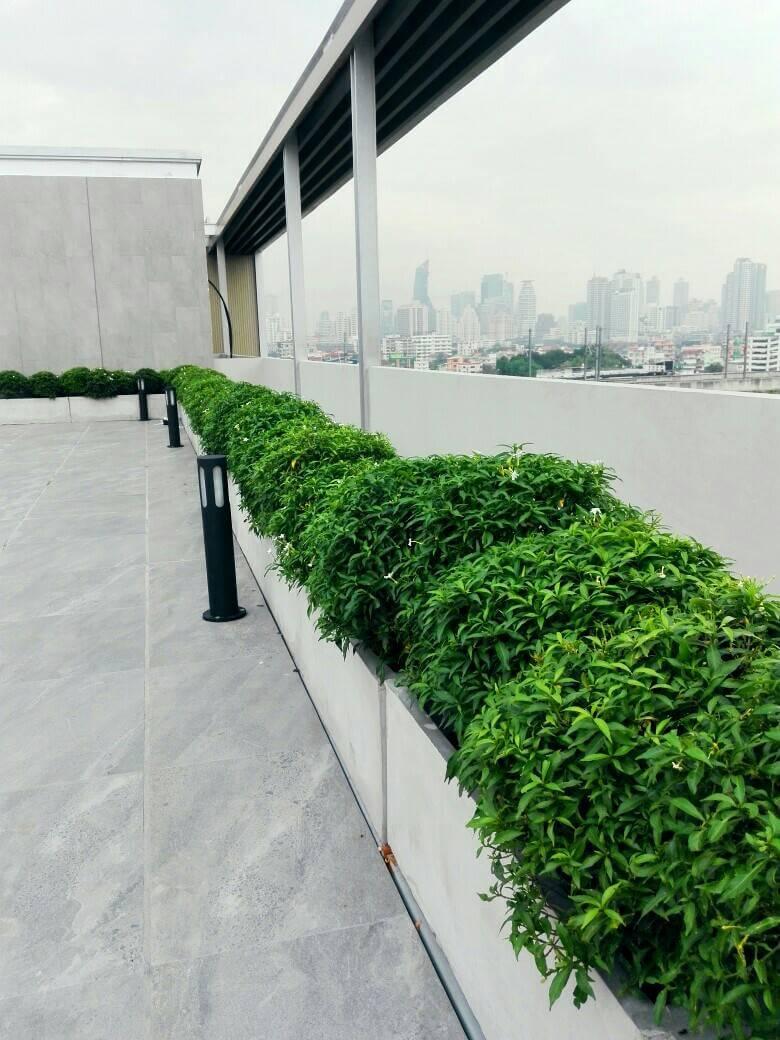 Cover Image for Kepler Residence Bangkok