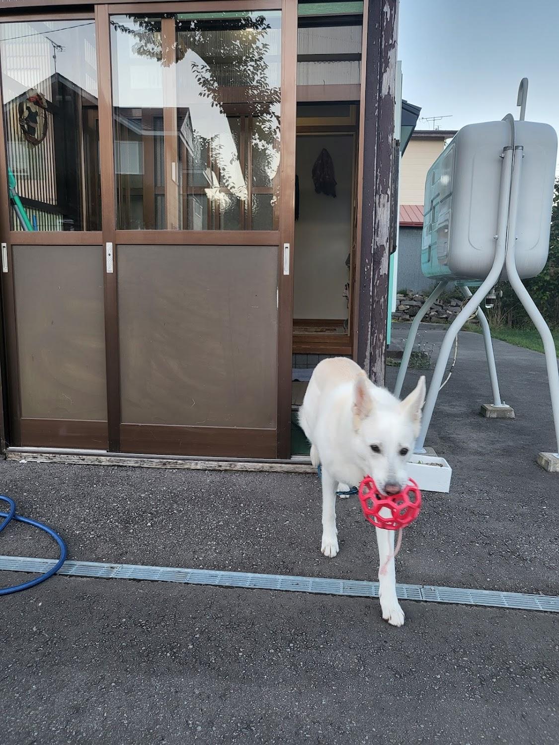 Cover Image for Holiday House Toya ホリデーハウス洞爺