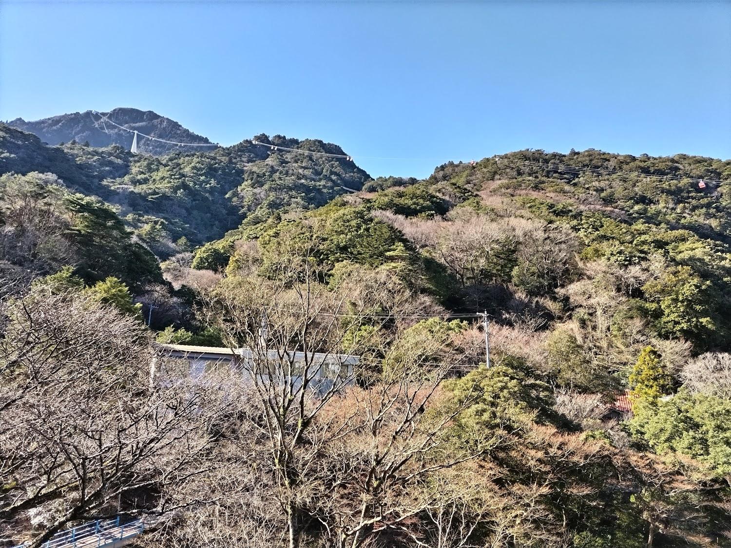 Cover Image for 三峯園