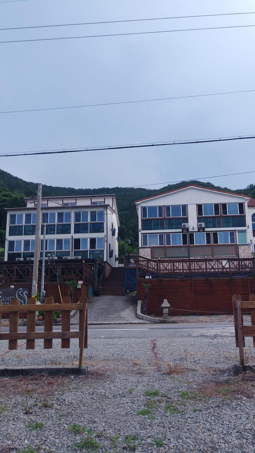 Cover Image for 펜션캣츠