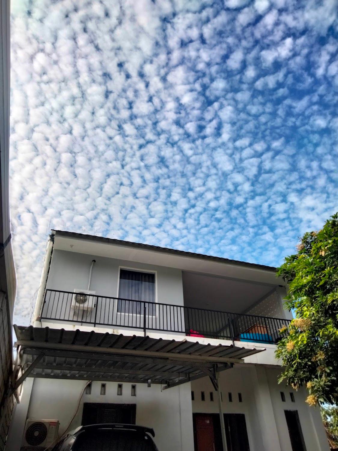 Cover Image for SUKHA HOMESTAY