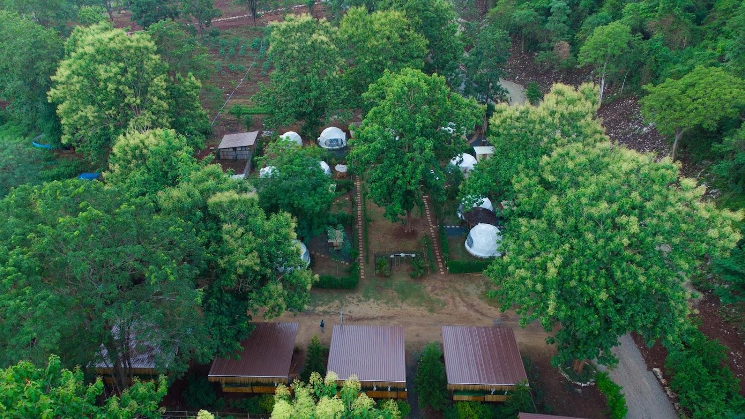 Cover Image for The Forest Camp เขาใหญ่