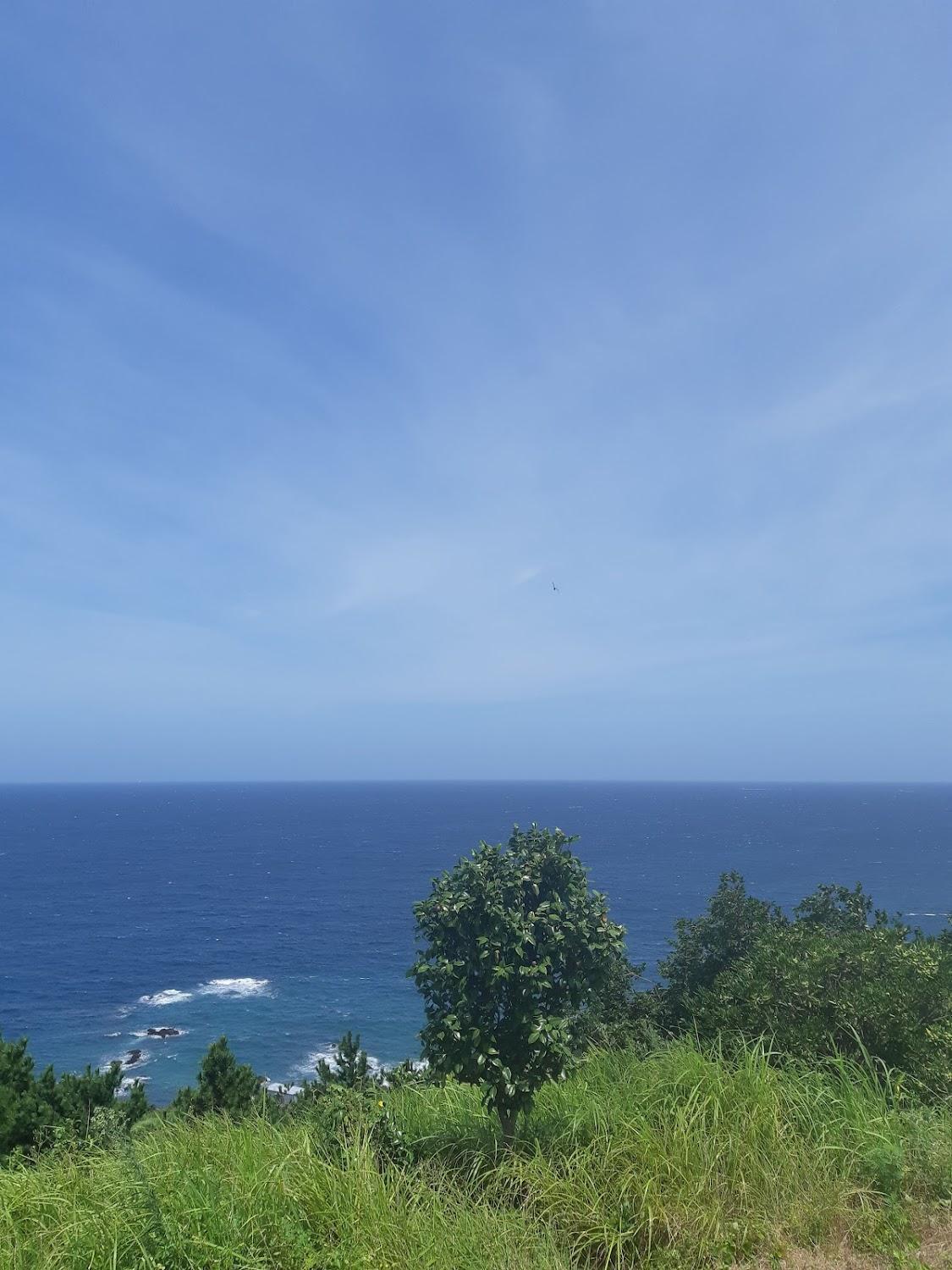 Cover Image for 해변의집