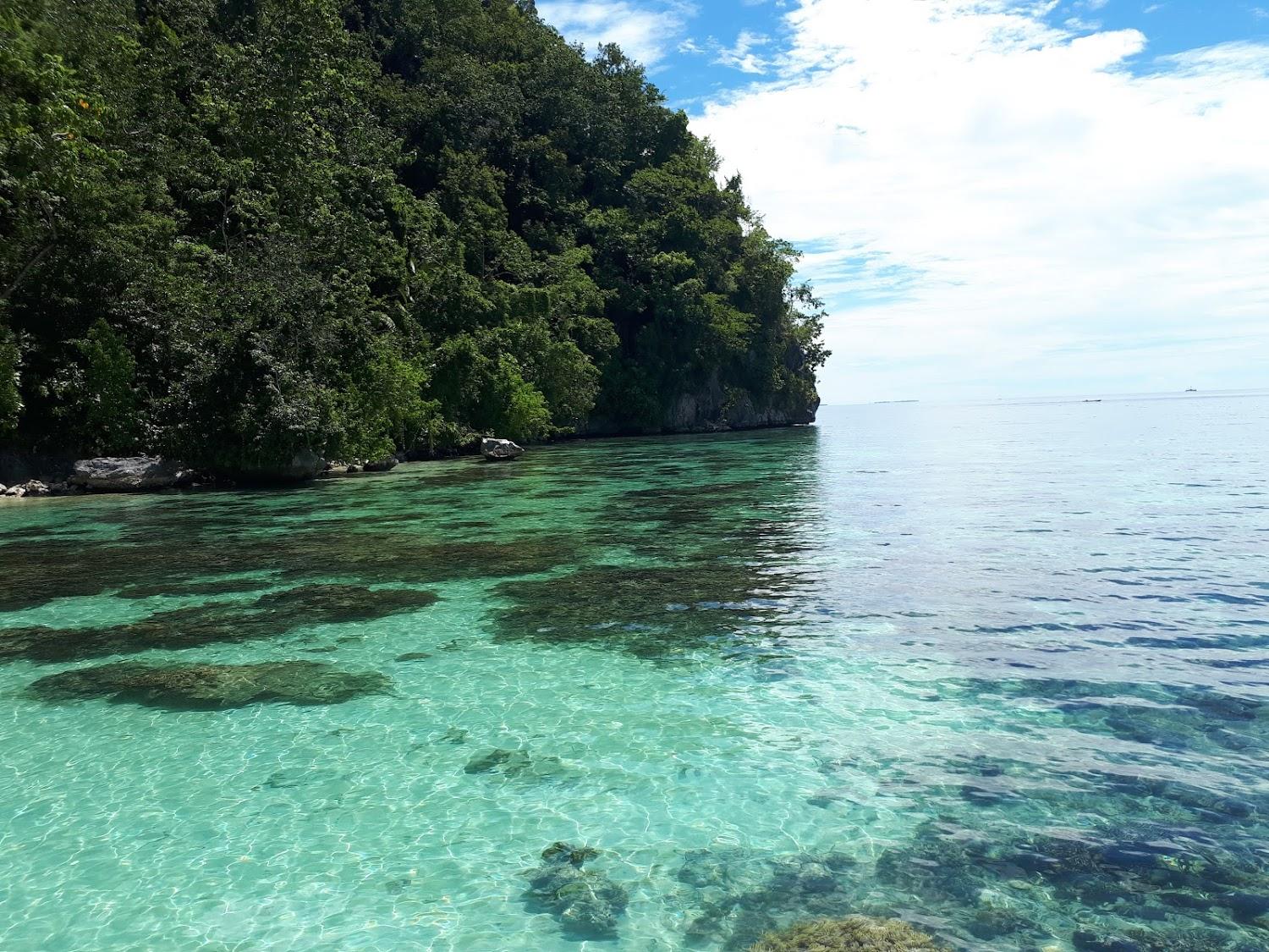 Cover Image for Penginapan Pasir Putih