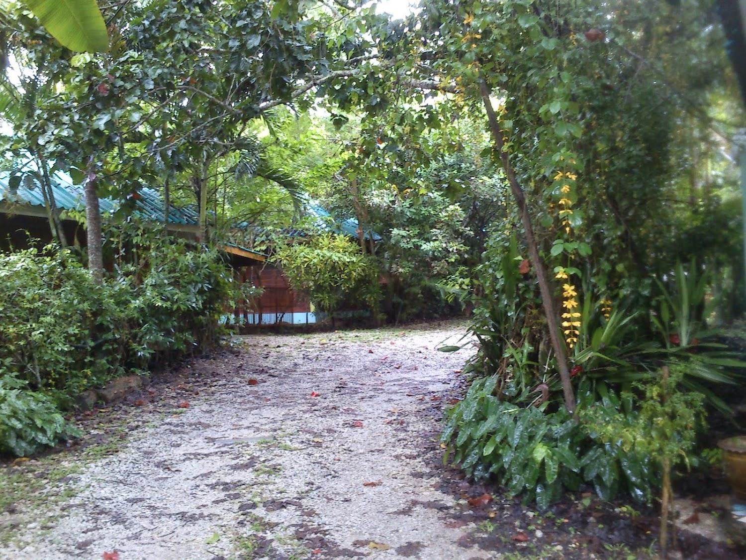 Cover Image for Garden Resort Koh Yor
