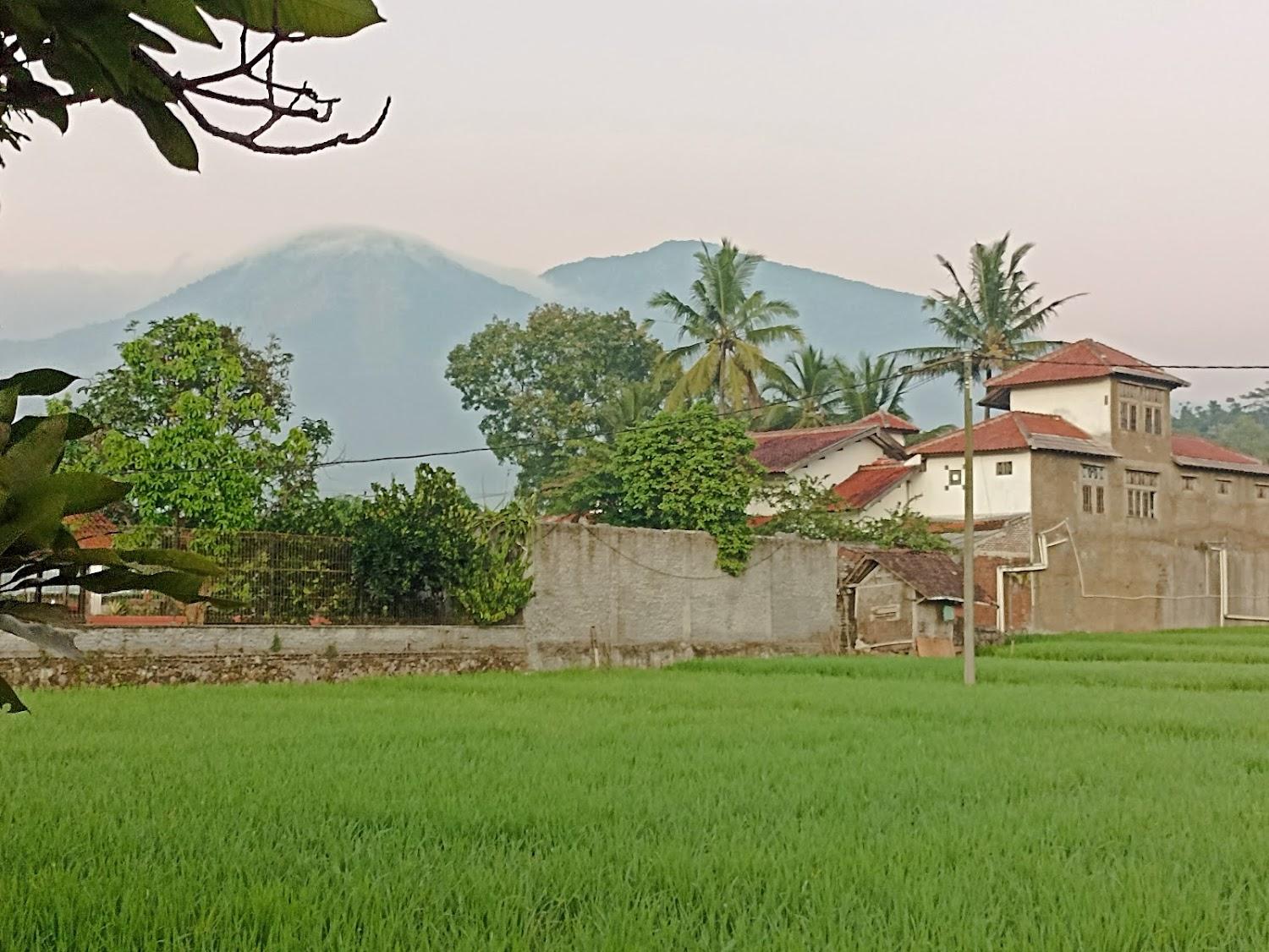 Cover Image for Villa Cipedes