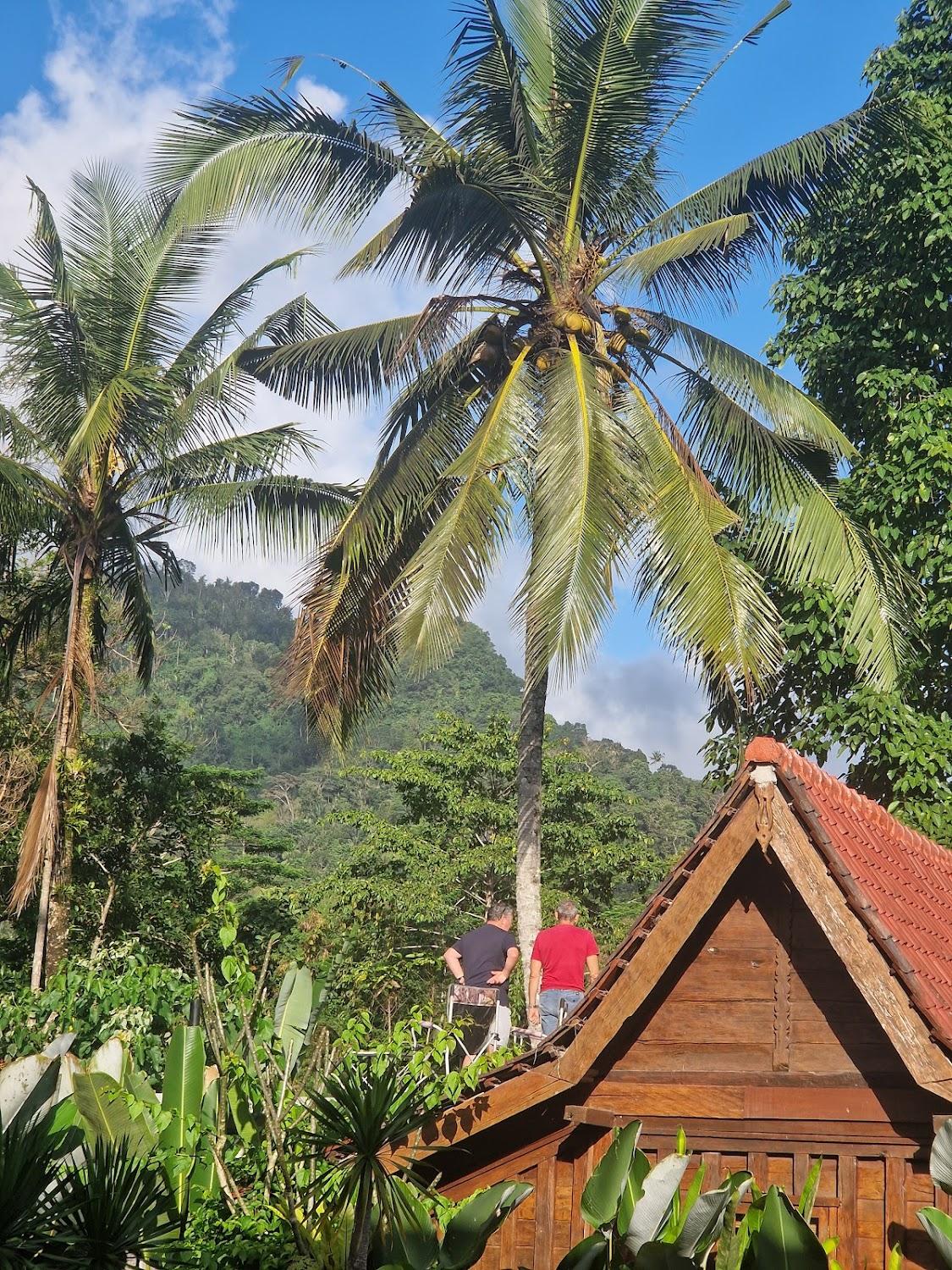 Cover Image for Graha Ayoe