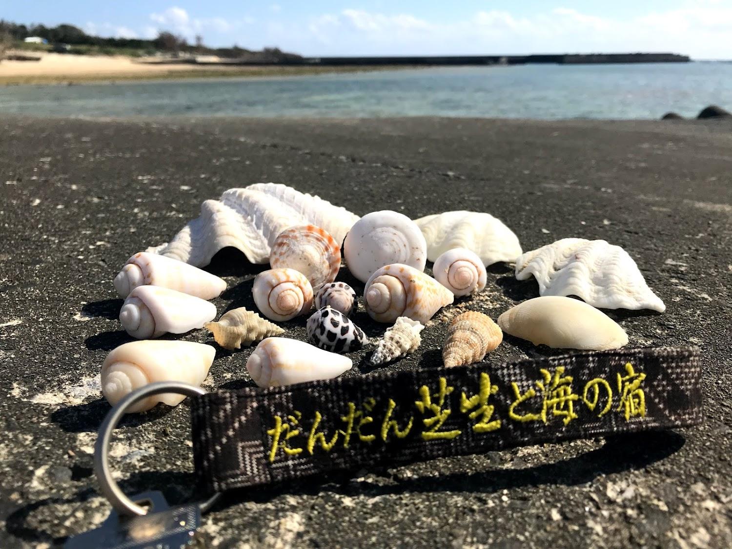 Cover Image for Denpaku Dandanshibafu-to-umi-no-yado