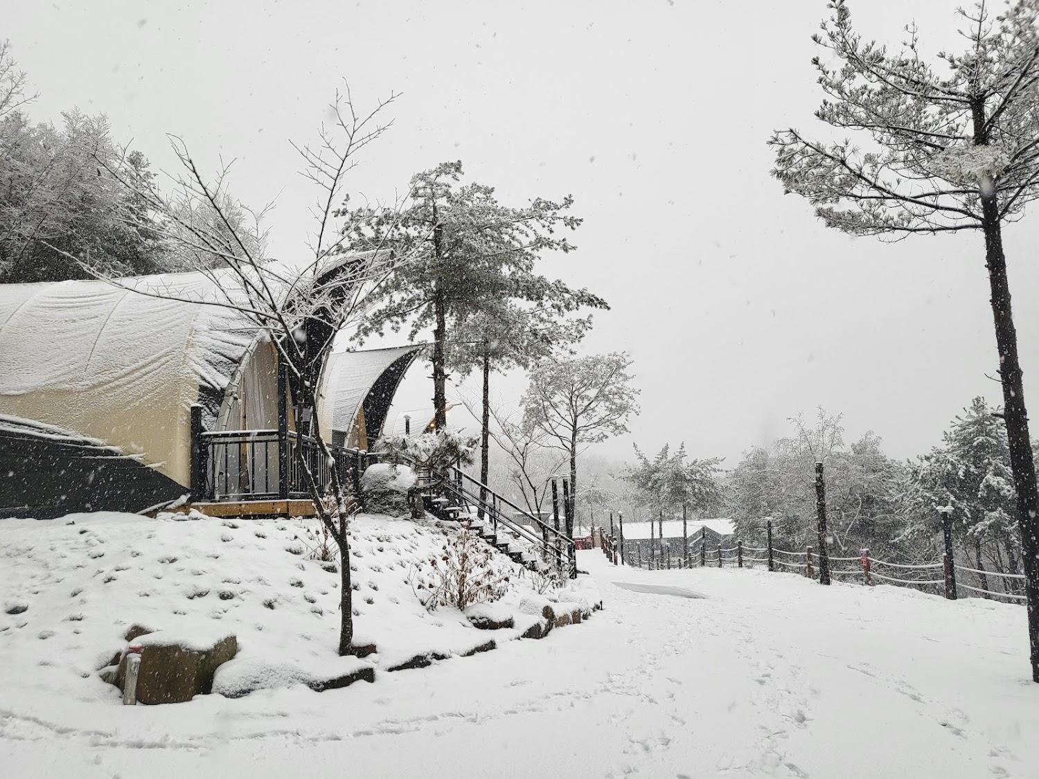 Cover Image for 금옥골숲속작은마을
