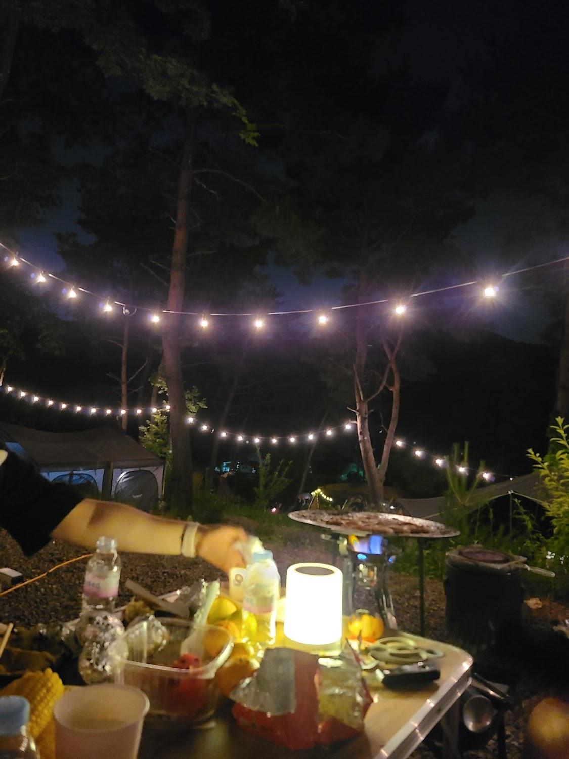 Cover Image for Auguste campsites