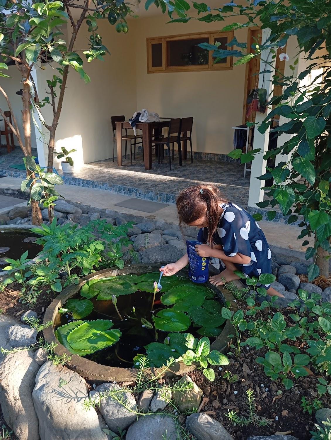 Cover Image for Rumah Kawan Senaru