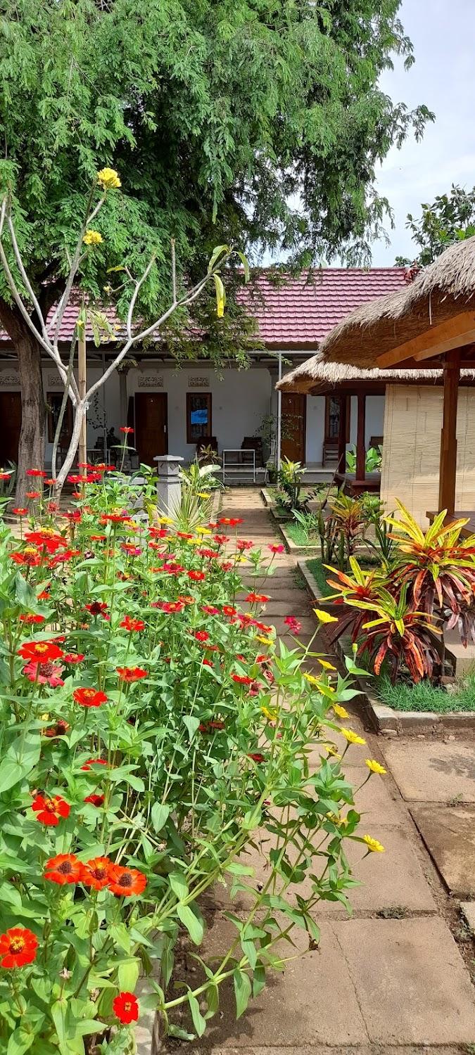 Cover Image for OYO 91965 Swan Homestay