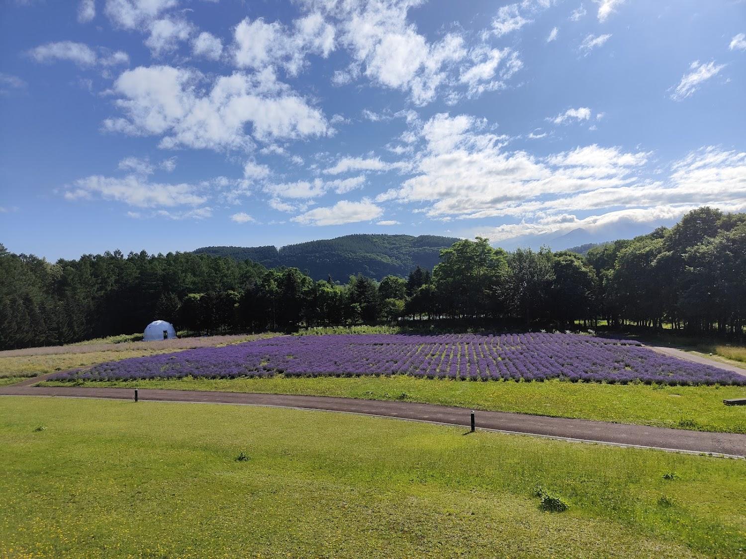 Cover Image for Furano Hotel