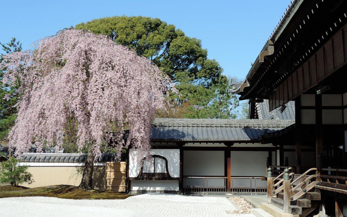 Cover Image for Kyō Machiya Miyabi Miyaki-tei