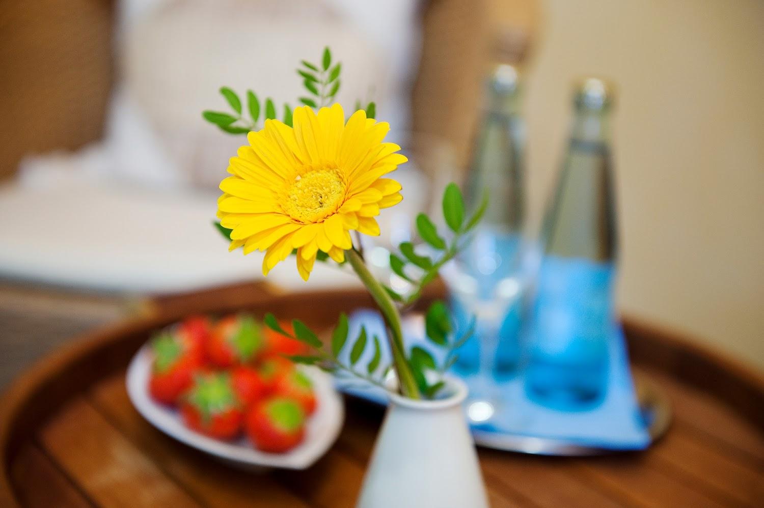 Cover Image for Ringhotel VITALHOTEL ambiente