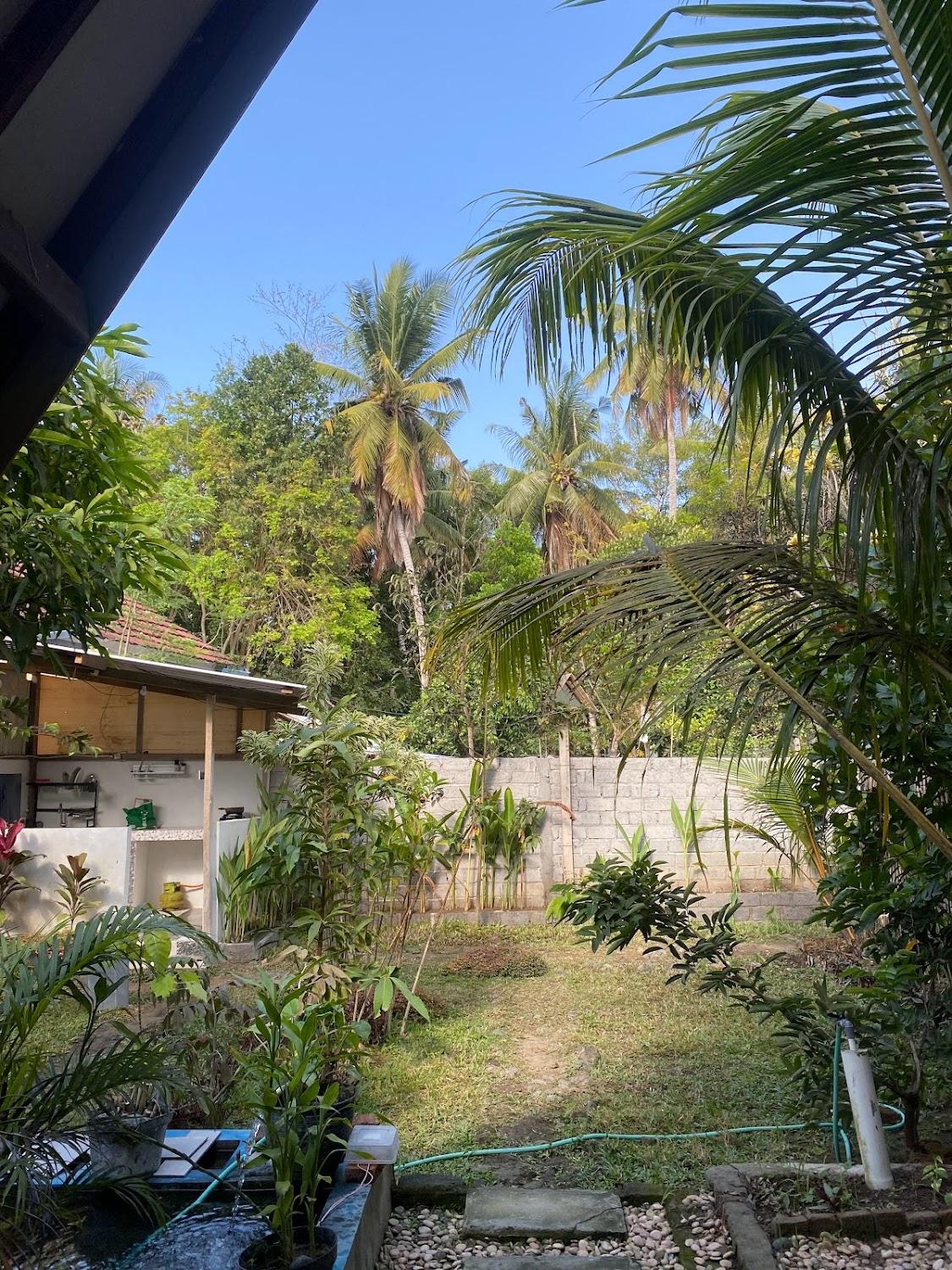 Cover Image for The pondok