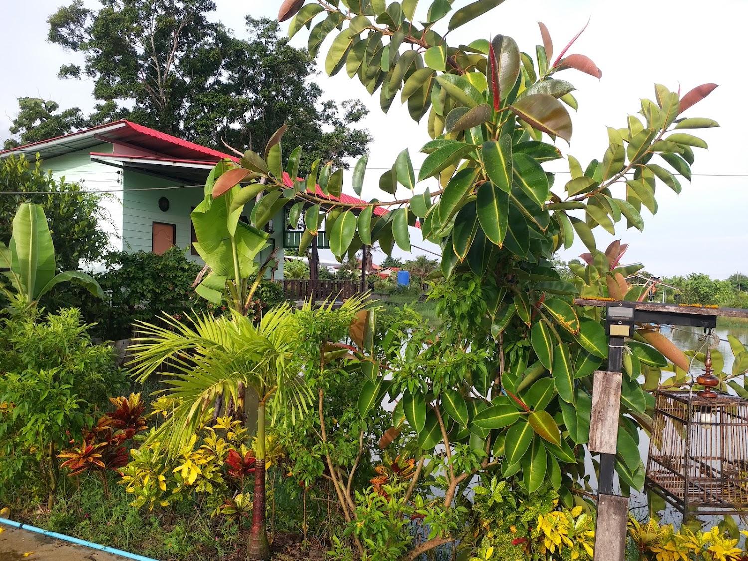 Cover Image for Ảnh At a glance