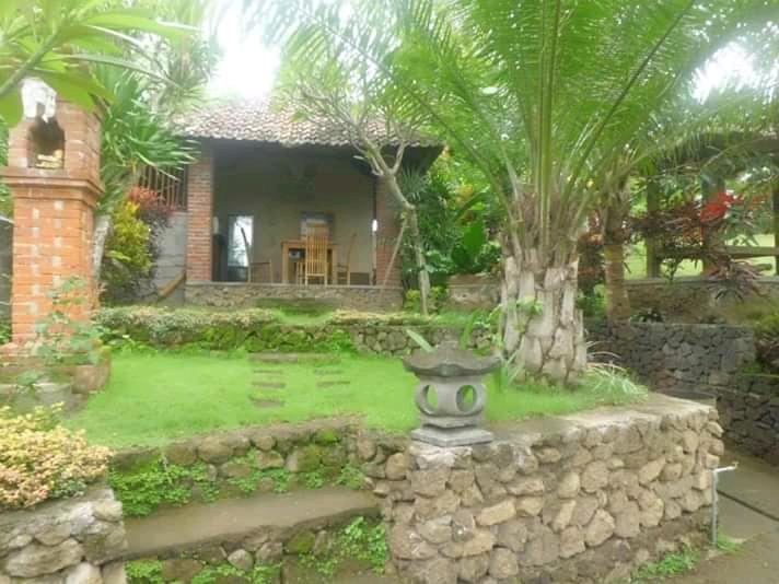 Cover Image for Mayong Bali Villa and Hostel