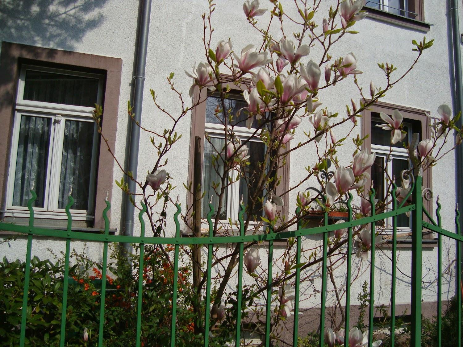 Cover Image for Pension "St. Georg"