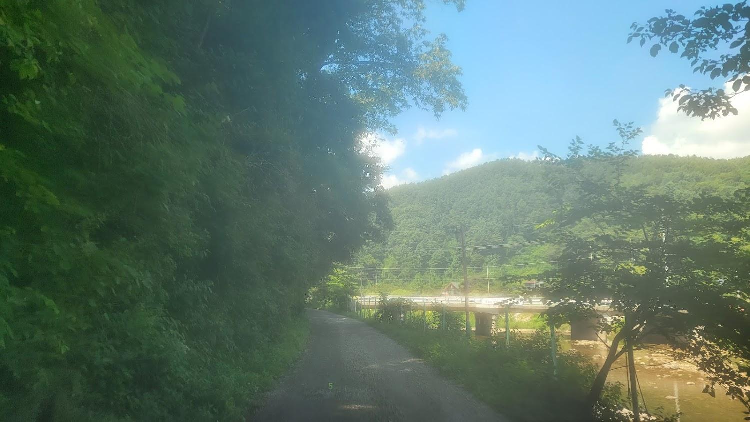 Cover Image for 하늘숲글램핑파크