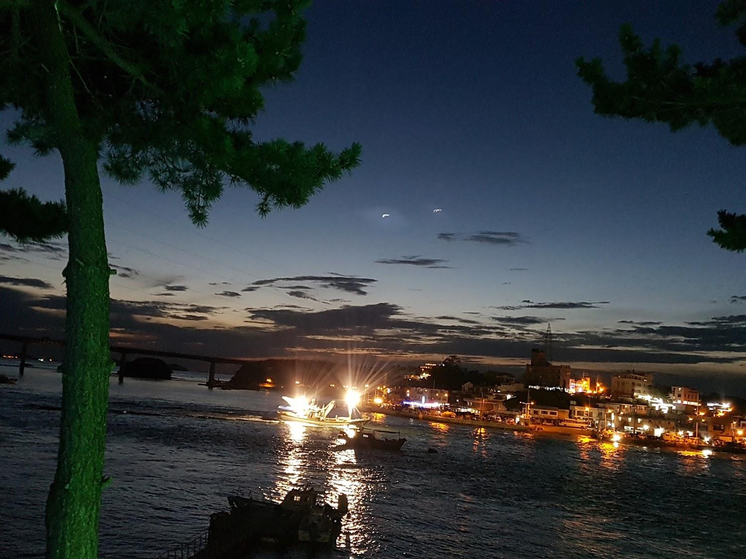Cover Image for 섬을찾는사람들