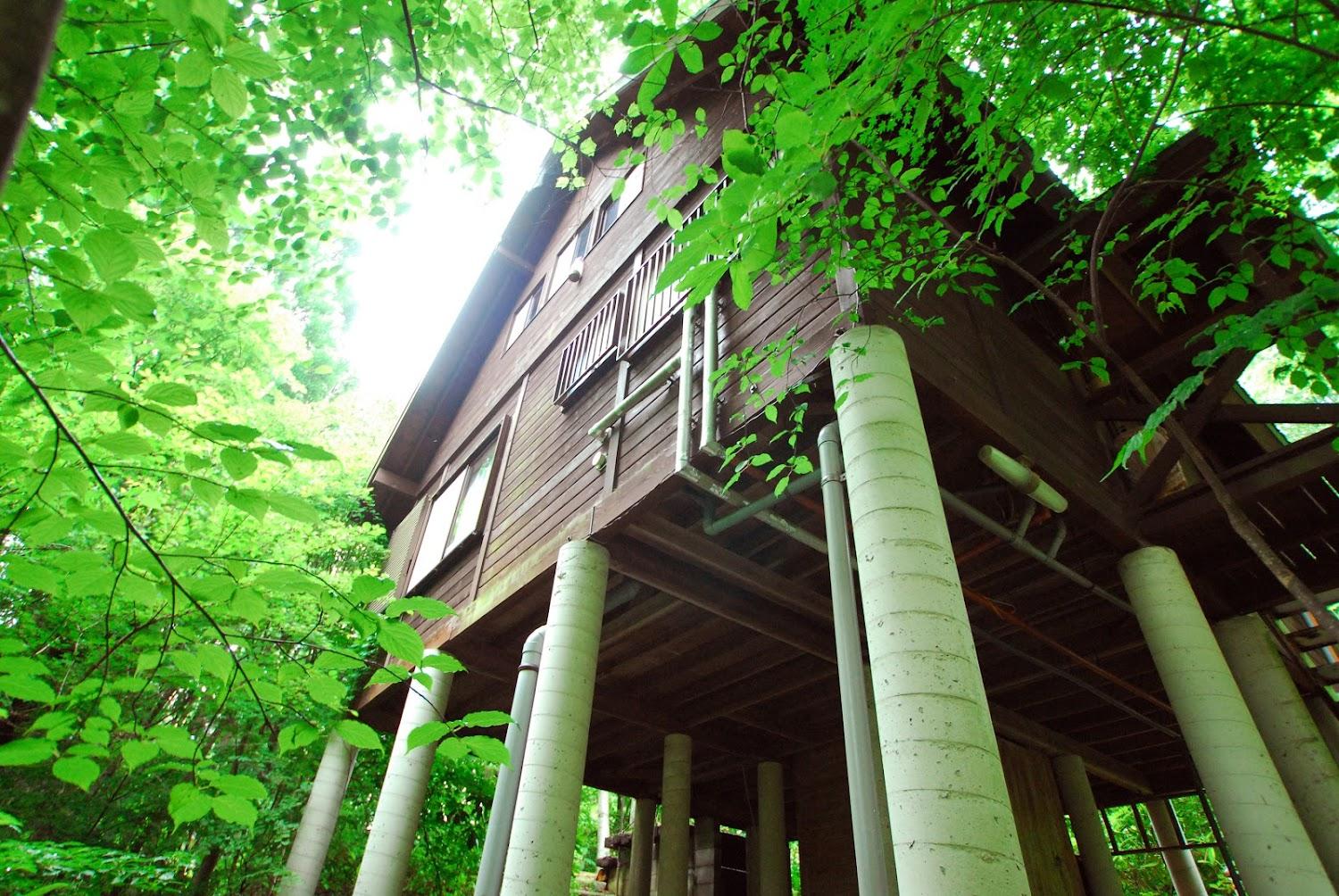 Cover Image for Mori no Sanpo