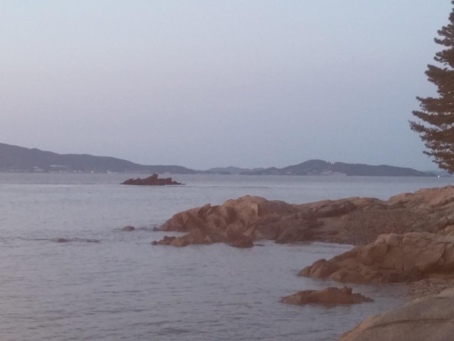Cover Image for 아일랜드스토리