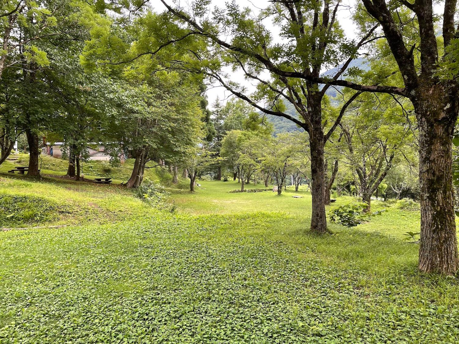 Cover Image for Sugadaira Camping Ground