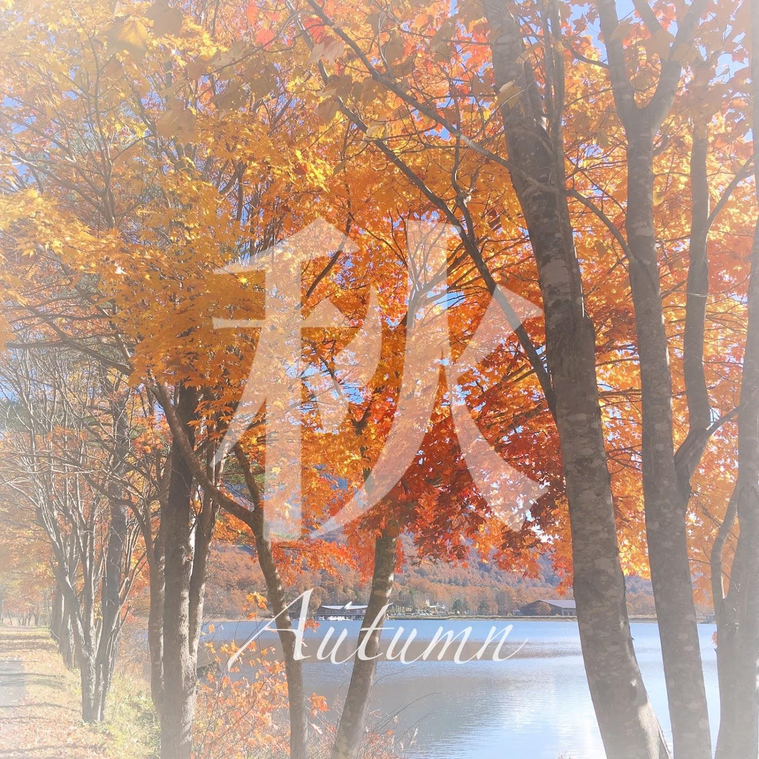 Cover Image for ペンション ワイルドフラワー