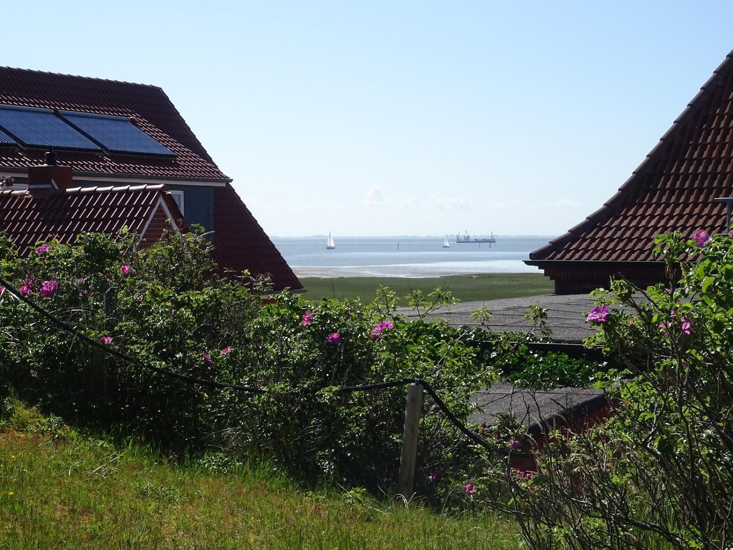 Cover Image for Haus Möwe