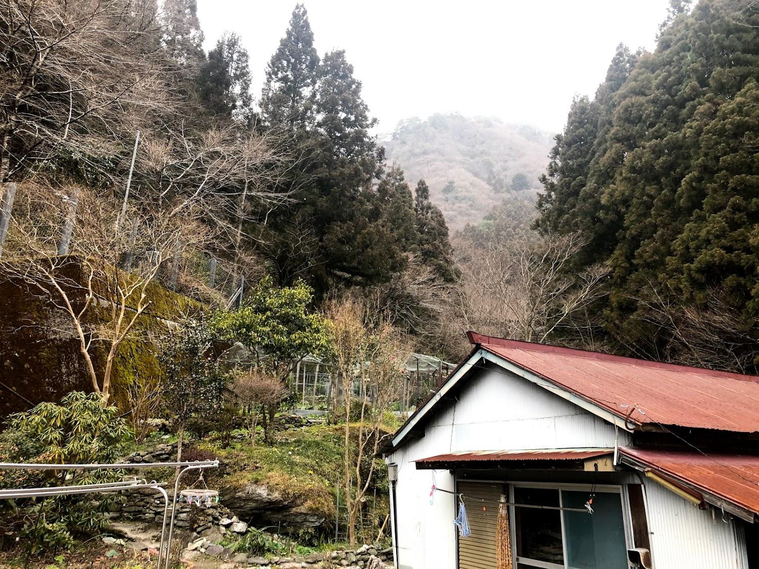 Cover Image for 平家荘