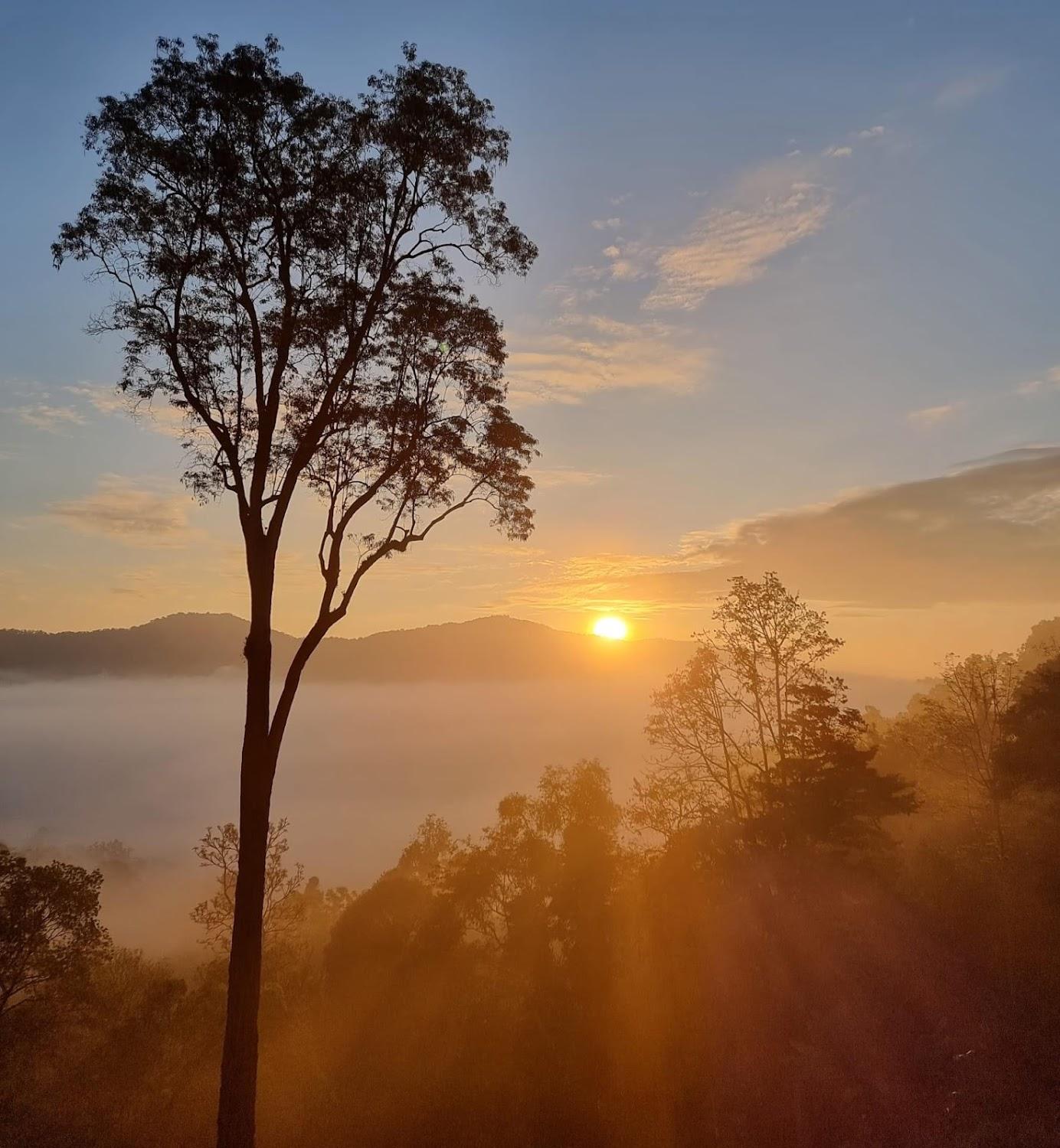 Cover Image for Morning Cloud