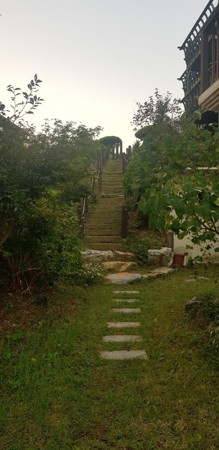 Cover Image for 초록바다정원