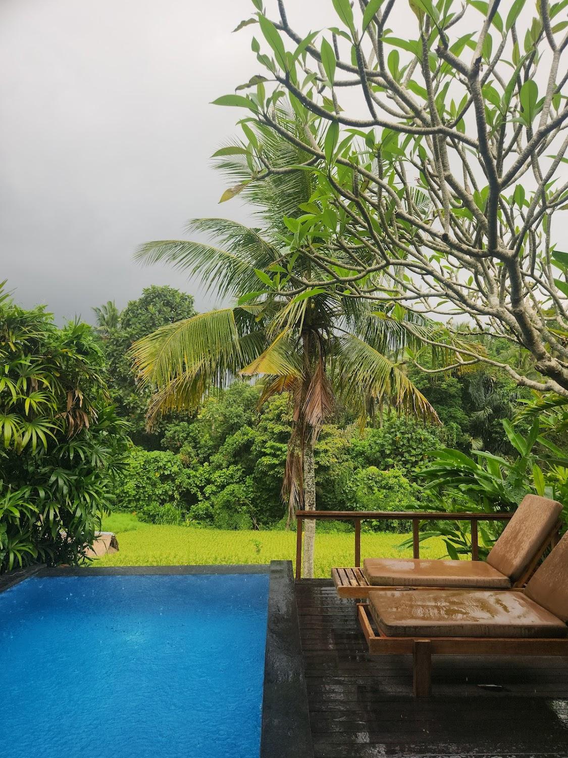 Cover Image for Ubud Green