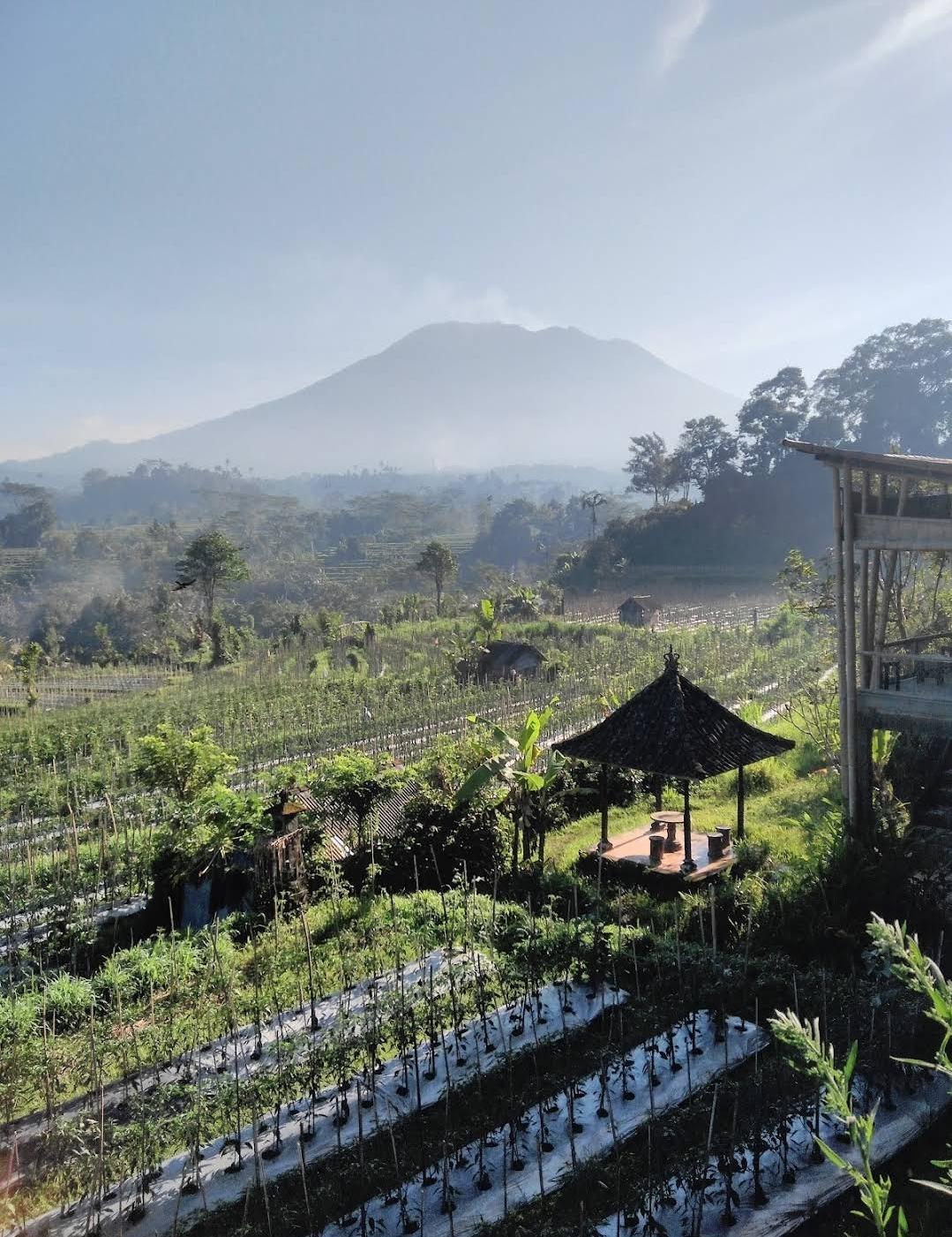 Cover Image for Intan sidemen villa