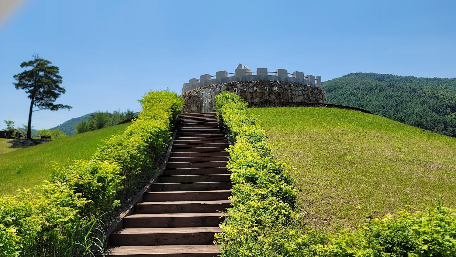 Cover Image for Romyzian Garden