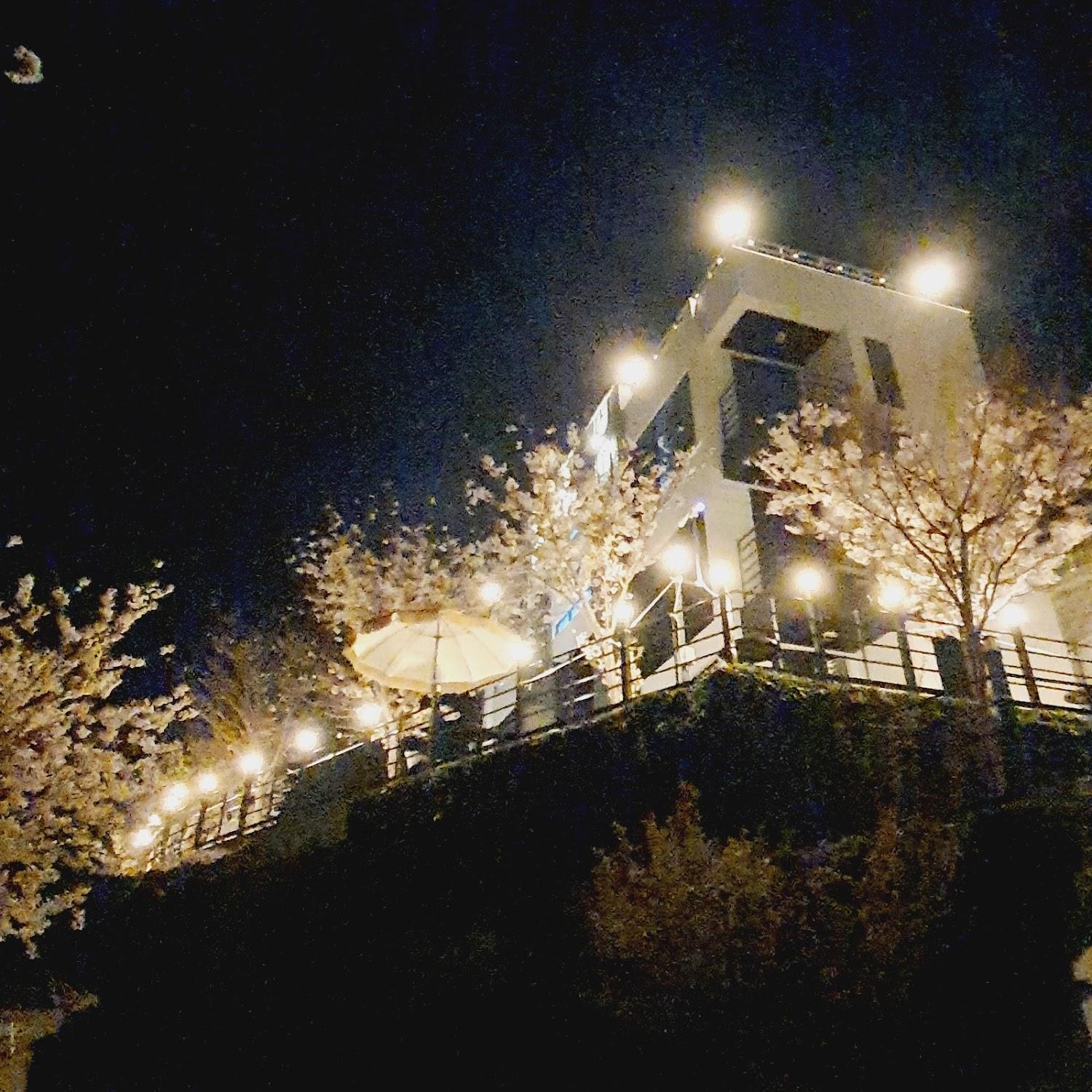 Cover Image for 해담은펜션(스파&풀빌라)