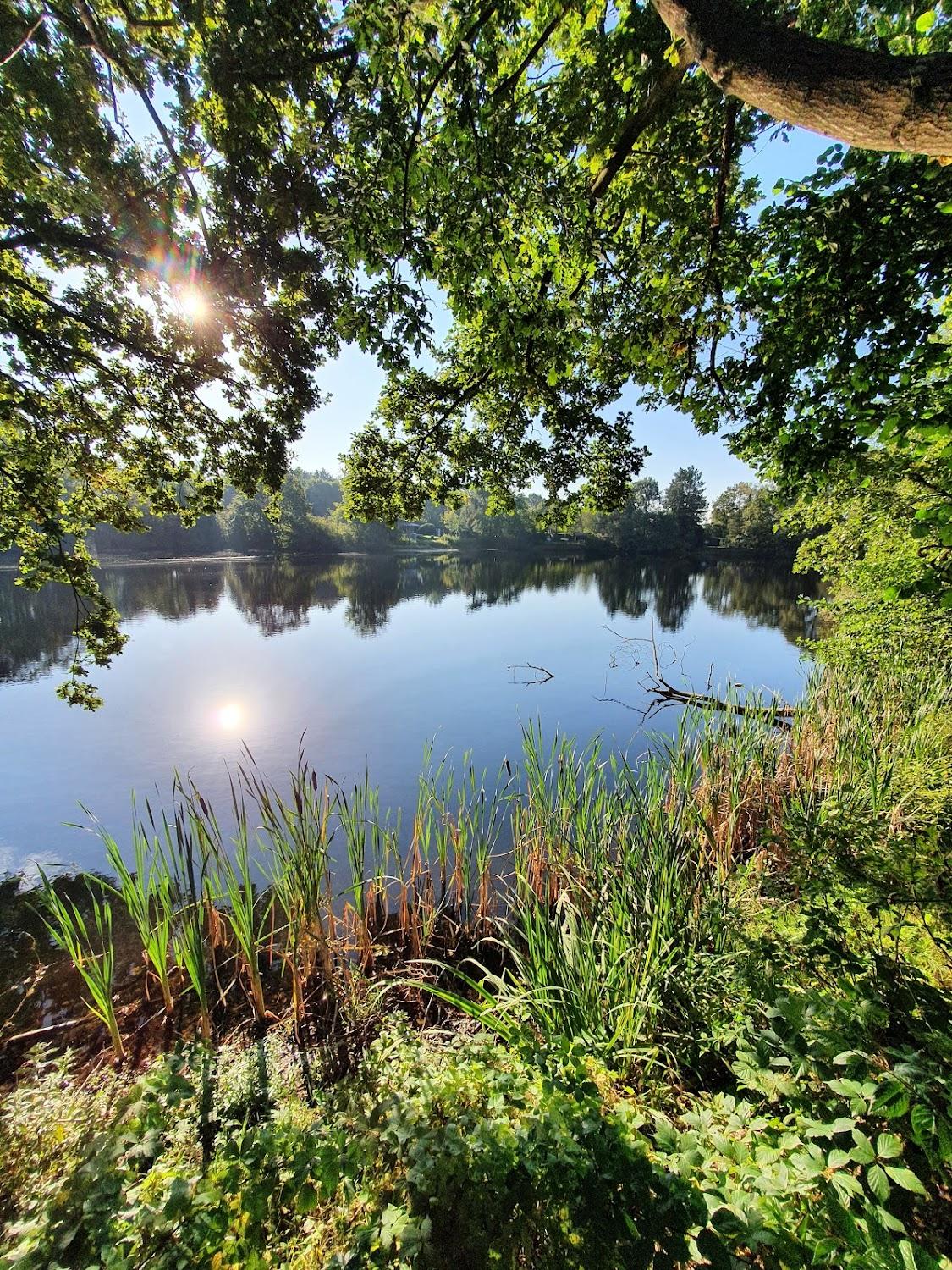 Cover Image for Ferienhaus blauer See