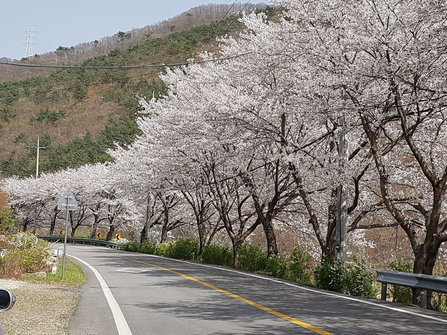 Cover Image for 산골이야기