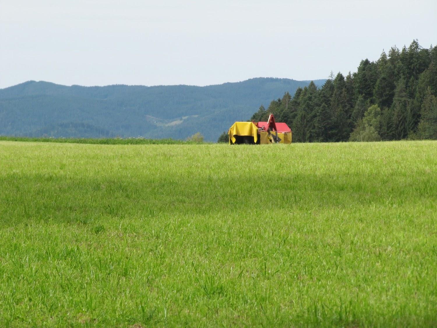 Cover Image for Landhaus Lauble