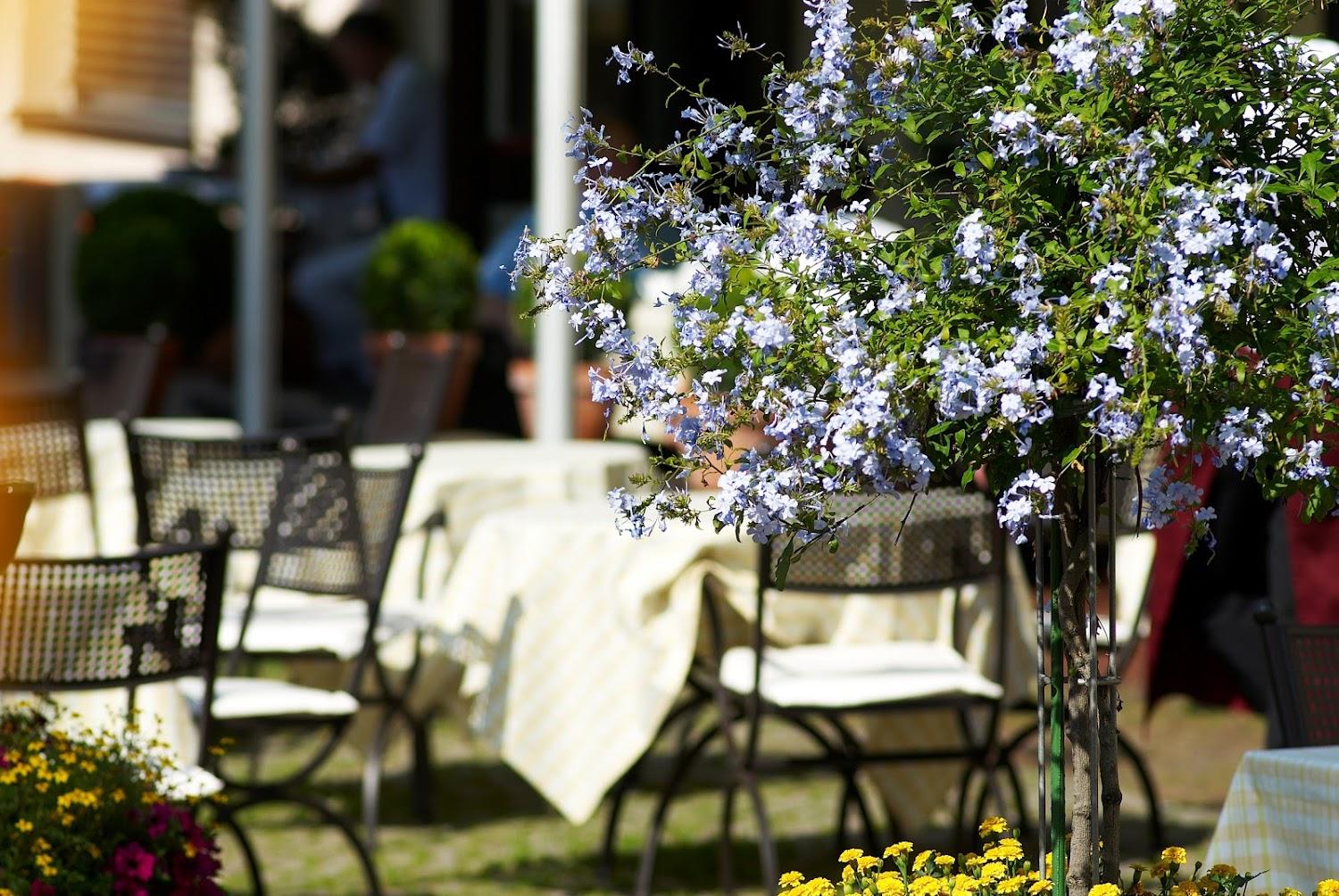 Cover Image for Hotel & Restaurant SONNE