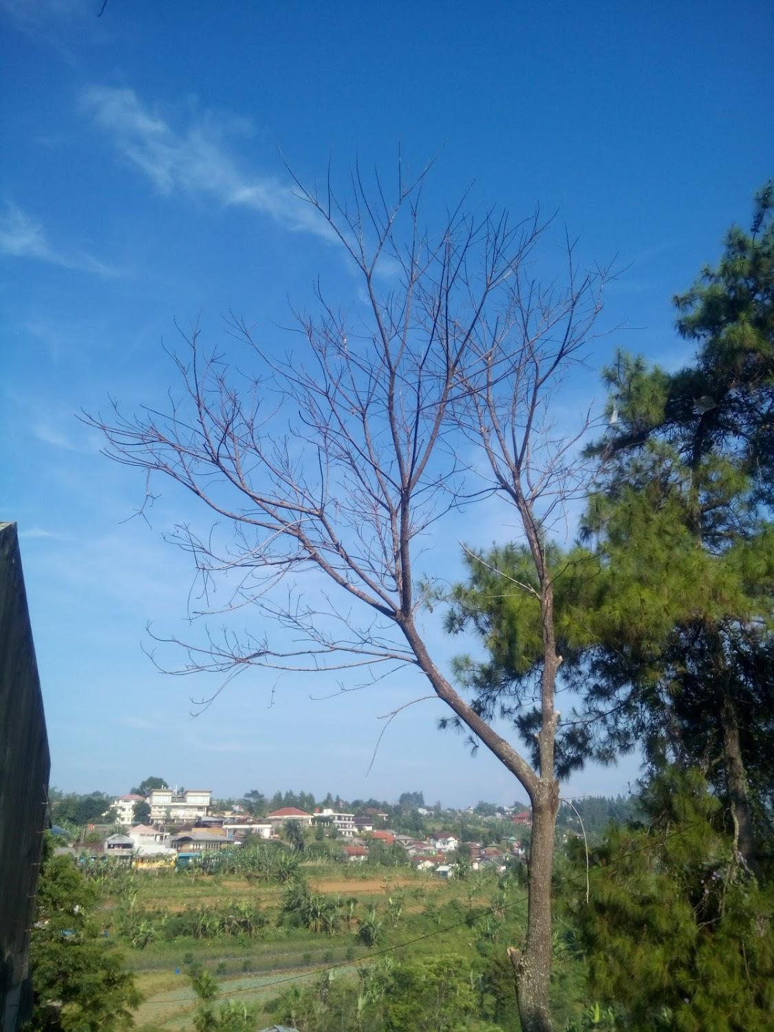 Cover Image for Wisma LPPA