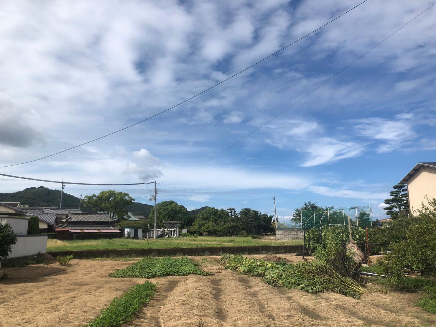 Cover Image for ゲストハウス屋島