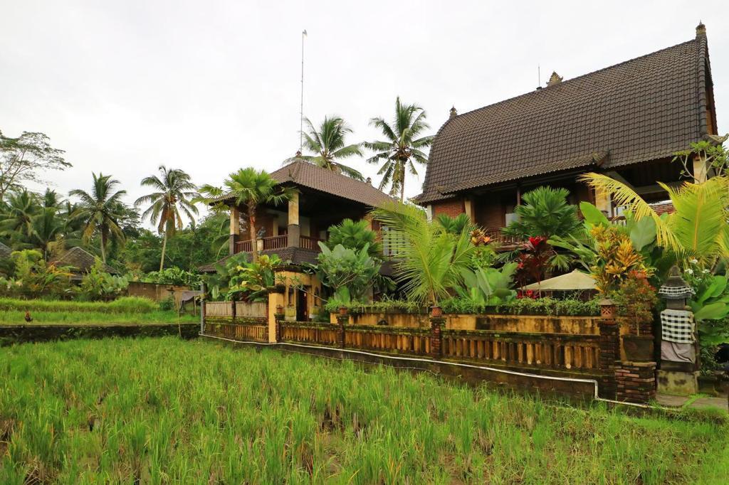Cover Image for Suari’s Villa