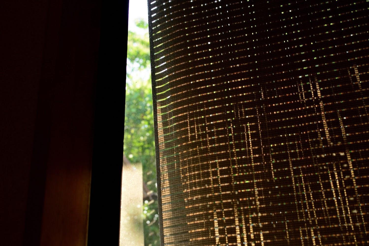 Cover Image for 清雅荘