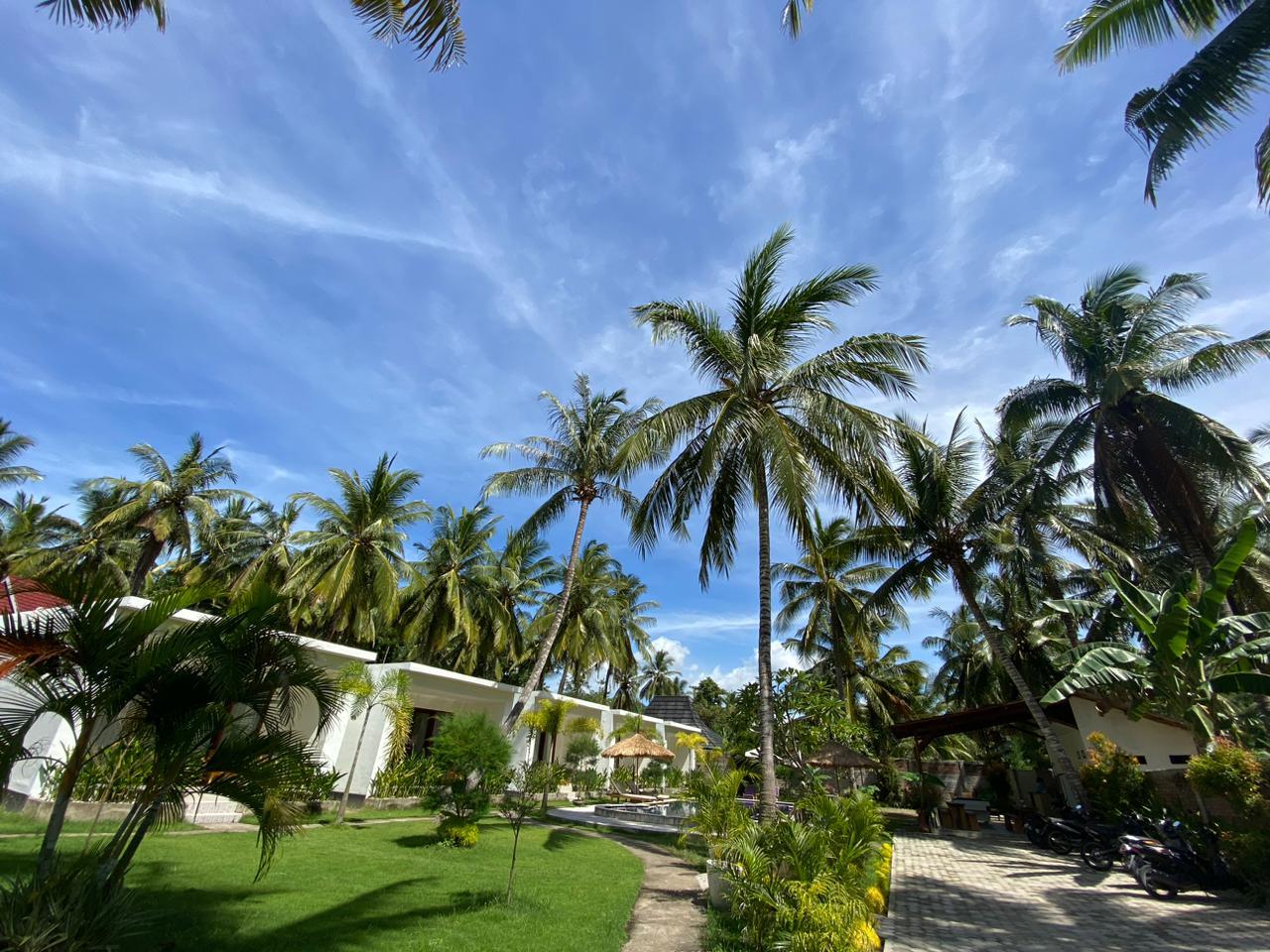 Cover Image for The Kebon Lombok